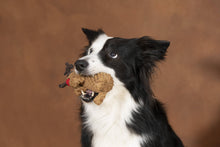 Laden Sie das Bild in den Galerie-Viewer, Rudi Rentier - Kult-Spielzeug für Hunde