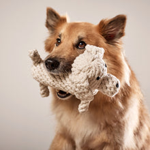 Laden Sie das Bild in den Galerie-Viewer, Richie Retriever - Kult-Spielzeug für Hunde
