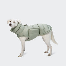 Laden Sie das Bild in den Galerie-Viewer, Cloud7 Hundemantel Alaska Dusty Mint