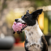 Laden Sie das Bild in den Galerie-Viewer, PIGGY PIG – Glücksschwein-Hundespielzeug aus Baumwolltau