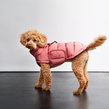 Laden Sie das Bild in den Galerie-Viewer, Cloud7 Alaska Faded Rose