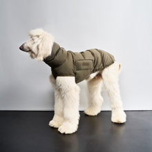 Laden Sie das Bild in den Galerie-Viewer, Cloud7 Hundemantel Alaska Light Olive
