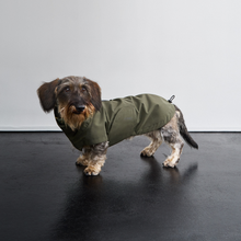 Laden Sie das Bild in den Galerie-Viewer, Cloud7 Hunderegenmantel Dackel Dublin 2.0  Dark Olive