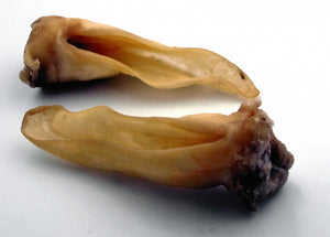 Lammohren