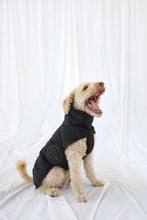 Laden Sie das Bild in den Galerie-Viewer, Dog Wintercoat - Nolia short, black