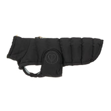 Laden Sie das Bild in den Galerie-Viewer, Dog Wintercoat - Nolia long, black ( Dackel, Windhund )