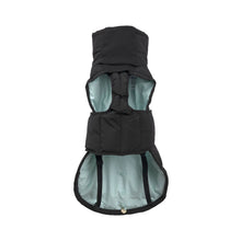 Laden Sie das Bild in den Galerie-Viewer, Dog Wintercoat - Nolia long, black ( Dackel, Windhund )