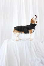 Laden Sie das Bild in den Galerie-Viewer, Dog Wintercoat - Nolia long, black ( Dackel, Windhund )