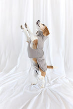 Laden Sie das Bild in den Galerie-Viewer, Dog Wintercoat - Nolia long, taupe ( Dackel, Windhund )