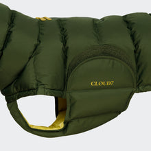 Laden Sie das Bild in den Galerie-Viewer, Cloud7 Hundemantel Alaska Olive