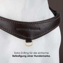 Laden Sie das Bild in den Galerie-Viewer, Step-In Leder Geschirr Pico für kleine Hunde braun