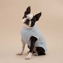 Laden Sie das Bild in den Galerie-Viewer, Hundepullover aus 100 % Baumwolle mit Zopfmuster blau