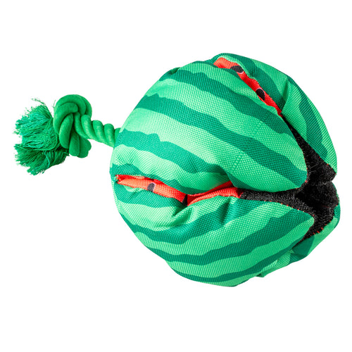 Snackspielzeug Wassermelone Grün/rot