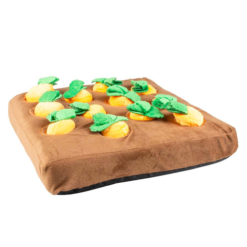 Snackmatte Karottengarten Mehrfarbig