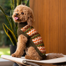 Laden Sie das Bild in den Galerie-Viewer, Alpaka-Hundepullover mit Wald-Chevron-Muster
