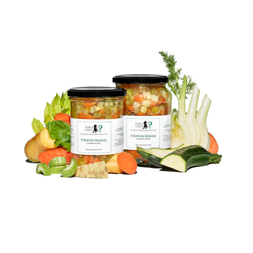 Premium Hundefutter 5 Sorten Gemüse