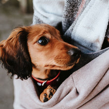 Laden Sie das Bild in den Galerie-Viewer, Tragebeutel Los Angeles, taupe/grau