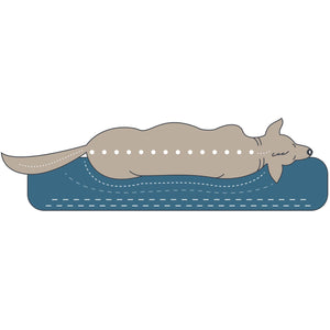 Orthopädisches Hundesofa Merida taupe