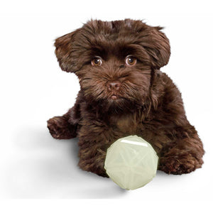 Hundespielzeug Aqua Kisa Ball