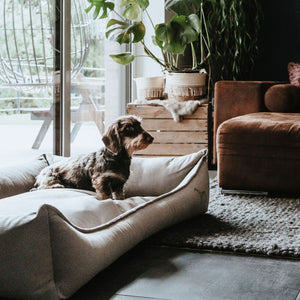 Orthopädisches Hundesofa Merida taupe
