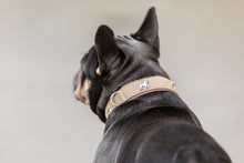 Laden Sie das Bild in den Galerie-Viewer, Halsband Französische Bulldogge
