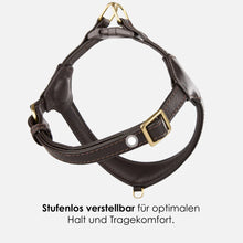 Laden Sie das Bild in den Galerie-Viewer, Step-In Leder Geschirr Pico für kleine Hunde braun