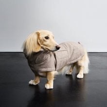 Laden Sie das Bild in den Galerie-Viewer, Cloud7 Hundemantel Dackel Brooklyn Tweed Beige (Mitte Oktober verfügbar)