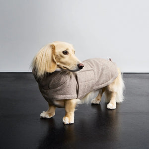 Cloud7 Hundemantel Dackel Brooklyn Tweed Beige (Mitte Oktober verfügbar)