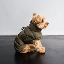 Laden Sie das Bild in den Galerie-Viewer, Cloud7 Hundemantel Everest Light Olive