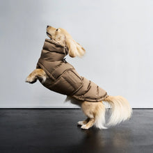 Laden Sie das Bild in den Galerie-Viewer, Cloud7 Hundemantel Dackel Alaska Sandy Brown