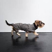 Laden Sie das Bild in den Galerie-Viewer, Cloud7 Hundemantel Dackel Brooklyn Tweed Black (Mitte Oktober verfügbar)