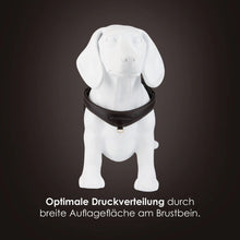Laden Sie das Bild in den Galerie-Viewer, Step-In Leder Geschirr Pico für kleine Hunde braun