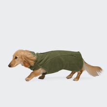 Laden Sie das Bild in den Galerie-Viewer, Cloud7 Body Warmer Dackel Aktiv Khaki