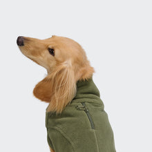 Laden Sie das Bild in den Galerie-Viewer, Cloud7 Body Warmer Dackel Aktiv Khaki