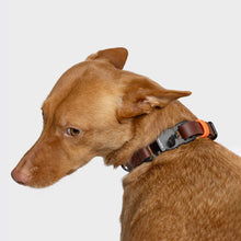 Laden Sie das Bild in den Galerie-Viewer, Cloud7 Hundehalsband BioThane Ipanema Dark Aubergine