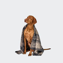 Laden Sie das Bild in den Galerie-Viewer, Cloud7 Hundedecke Bouclé Tartan