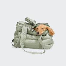 Laden Sie das Bild in den Galerie-Viewer, Cloud7 Hundetasche 2.0 Light Mint