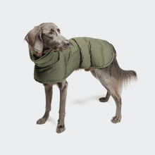 Laden Sie das Bild in den Galerie-Viewer, Cloud7 Hundemantel Everest Light Olive