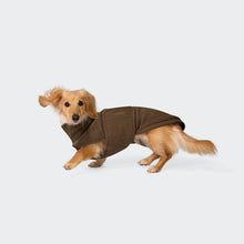 Laden Sie das Bild in den Galerie-Viewer, Cloud7 Hundepullover Dackel Derby 2.0 Coffee