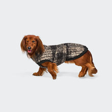 Laden Sie das Bild in den Galerie-Viewer, Cloud7 Hundepullover Dackel Gotland Tartan