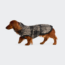 Laden Sie das Bild in den Galerie-Viewer, Cloud7 Hundepullover Dackel Gotland Tartan