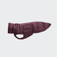Laden Sie das Bild in den Galerie-Viewer, Cloud7 Hundemantel Dackel Alaska Dark Aubergine