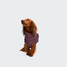 Laden Sie das Bild in den Galerie-Viewer, Cloud7 Hundemantel Dackel Alaska Dark Aubergine