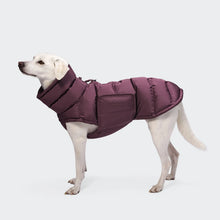Laden Sie das Bild in den Galerie-Viewer, Cloud7 Hundemantel Alaska Dark Aubergine