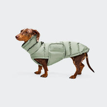 Laden Sie das Bild in den Galerie-Viewer, Cloud7 Hundemantel Dackel Alaska Dusty Mint