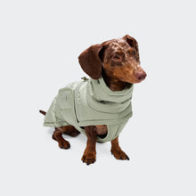 Laden Sie das Bild in den Galerie-Viewer, Cloud7 Hundemantel Dackel Alaska Dusty Mint
