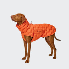 Laden Sie das Bild in den Galerie-Viewer, Cloud7 Hundemantel Alaska Seersucker Orange