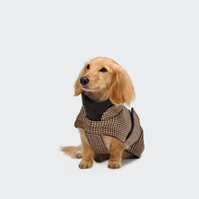 Laden Sie das Bild in den Galerie-Viewer, Cloud7 Hundemantel Dackel Brooklyn Houndtooth