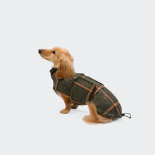 Laden Sie das Bild in den Galerie-Viewer, Cloud7 Hundemantel Dackel Brooklyn Flannel Tartan Green