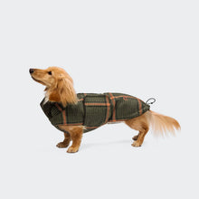 Laden Sie das Bild in den Galerie-Viewer, Cloud7 Hundemantel Dackel Brooklyn Flannel Tartan Green